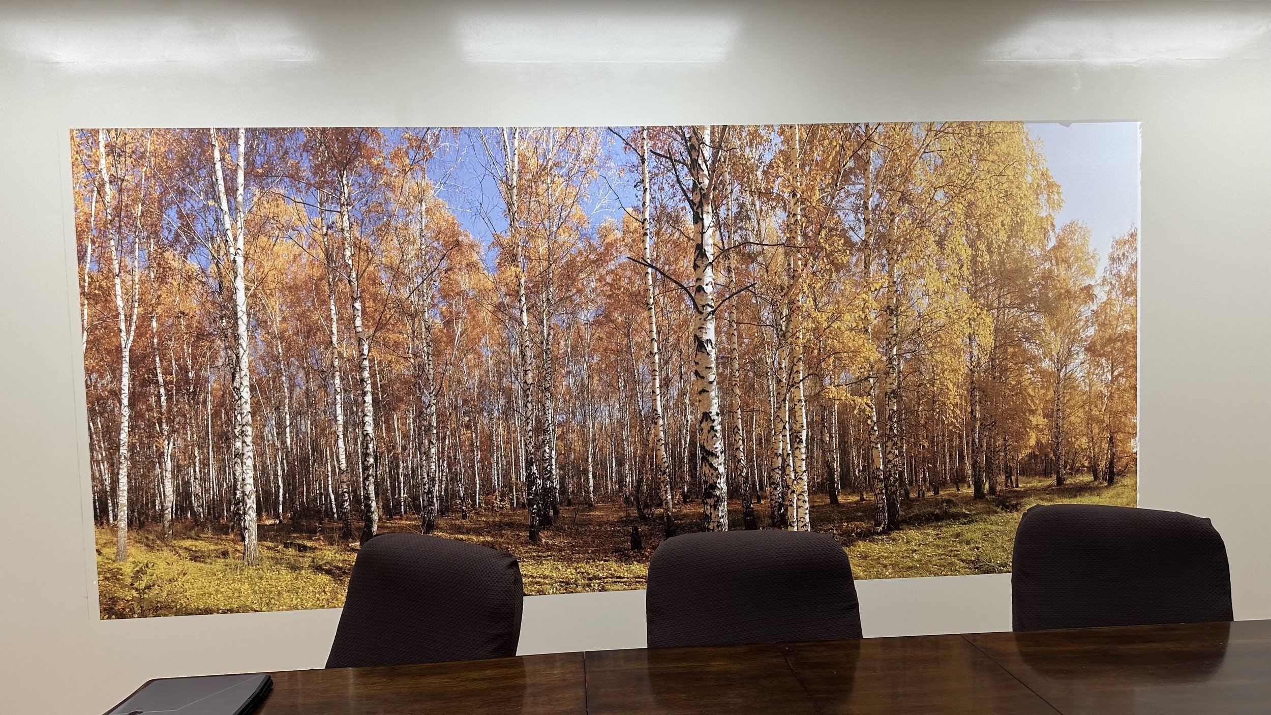 Autumn birch forest mural behind a conference table and chairs